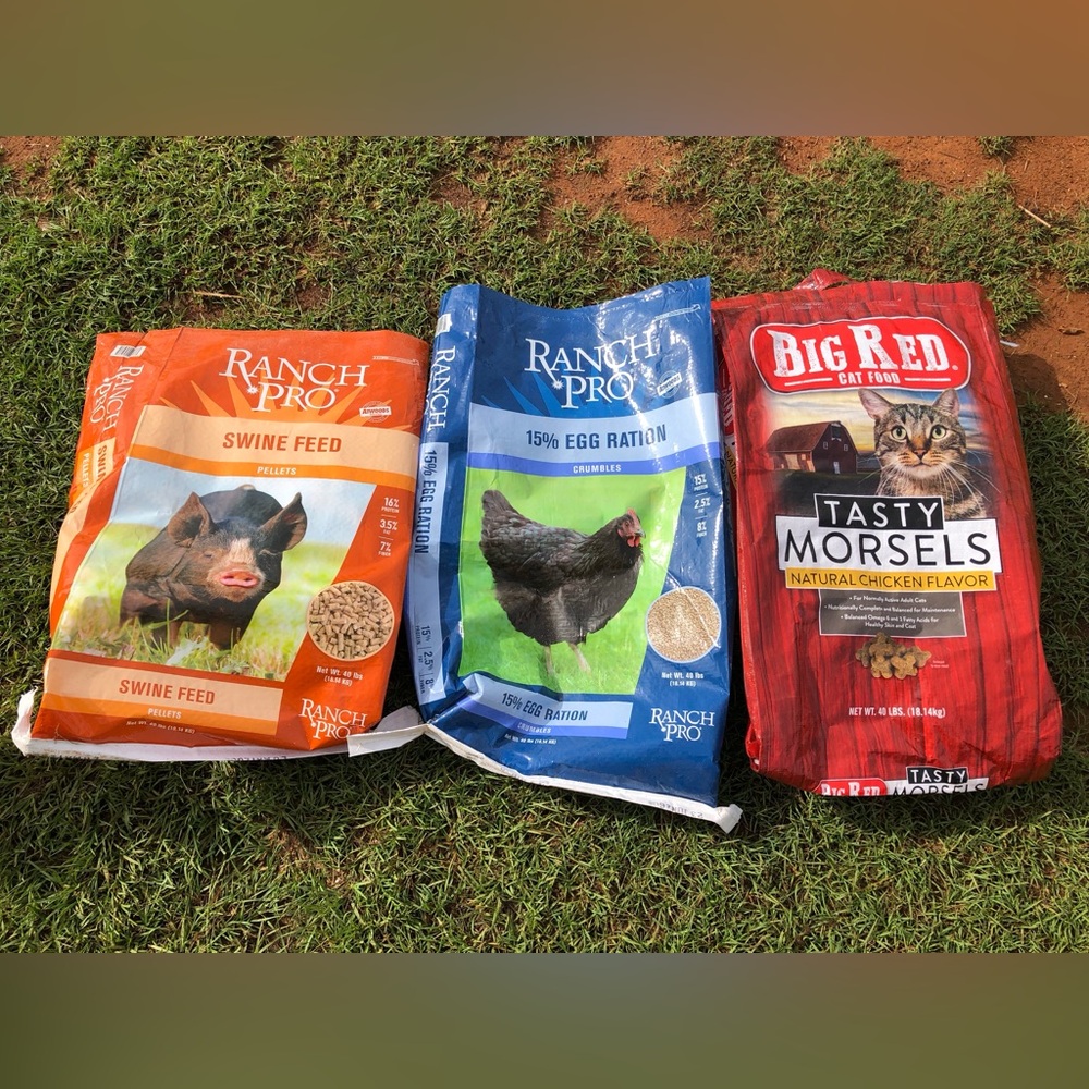 Plastic Woven Pig Cat  Chicken Feed Sacks For Crafting, Reporposing, Aprons, Art